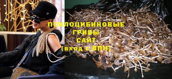 таблы Новозыбков
