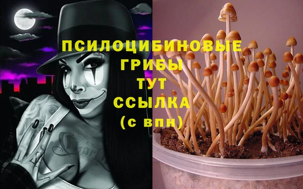 марки lsd Новодвинск