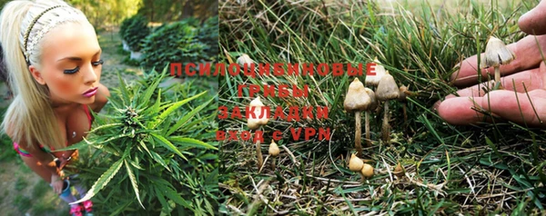 таблы Новозыбков