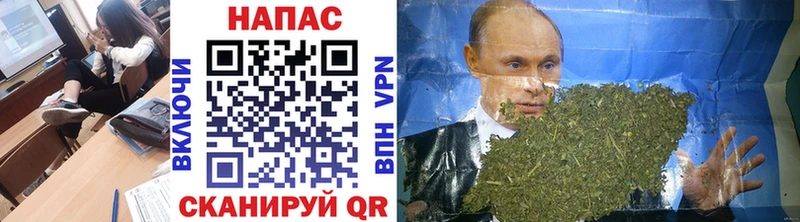 Бошки Шишки OG Kush  shop состав  Поворино  kraken сайт 